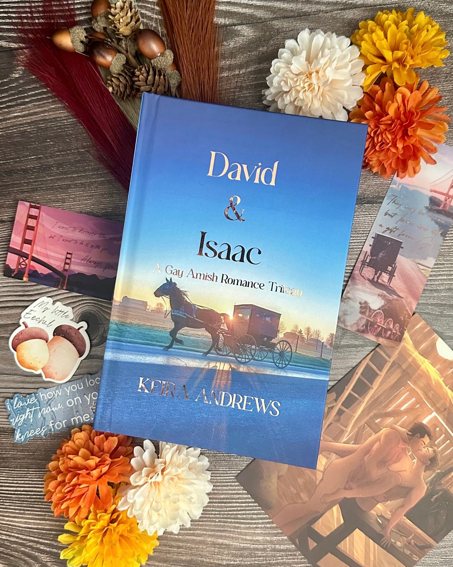 May/June - David & Isaac by Keira Andrews